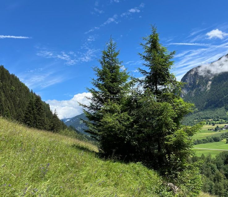 Yoga & Pilates Retreat mit Kräuterwanderung